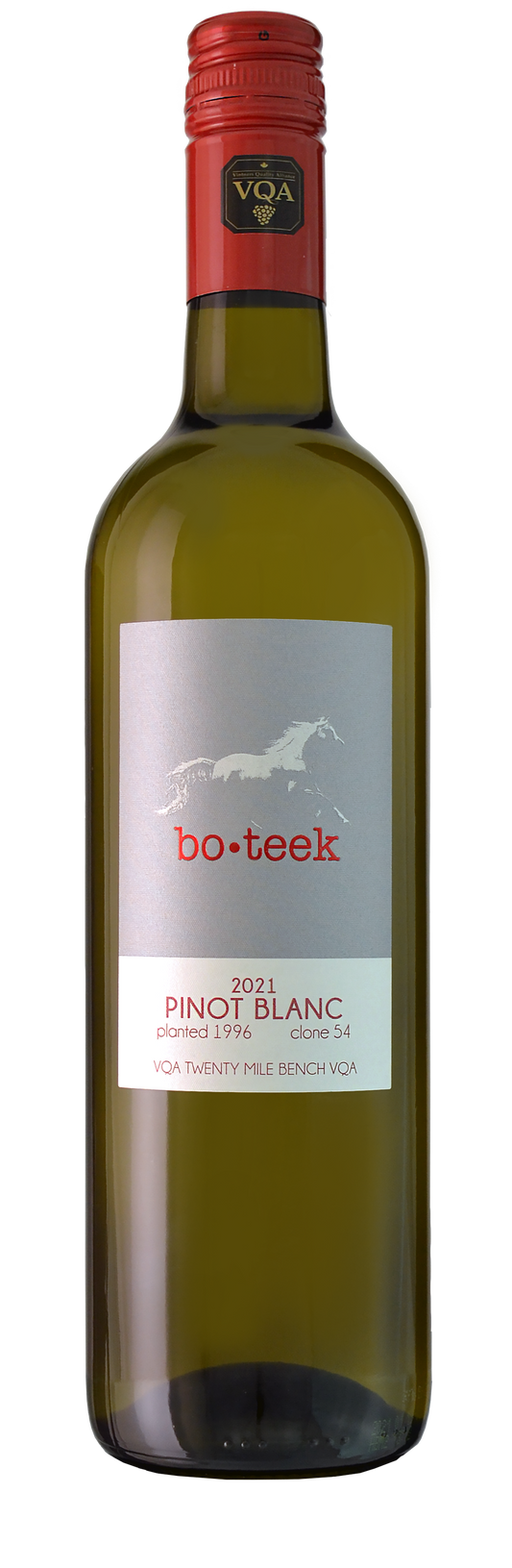 Pinot Blanc Bo•Teek Clone 54
