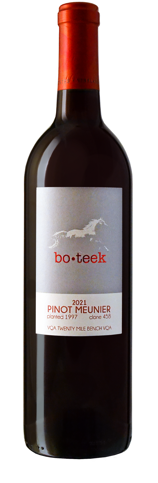Pinot Meunier Bo•Teek Clone 458